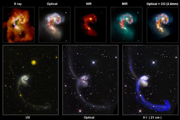 Galaxias interactuantes NGC 4038/4039, popularmente conocidas como Las Antenas, en todas las frecuencias. Arriba, detalles de la zona central del sistema observado en rayos X (Chandra), visible (NOAO/HST), NIR (WIRC/PO), FIR (Spitzer) y continuo de radio a 20 cm (VLA), donde se han superpuesto los contornos con la emisión de CO a 2.6mm (BIMA). Abajo, visión total de las galaxias en UV (GALEX), óptico (SSRO/NOAO) y H I (VLA). Sobre la imagen en óptico se indica con el tamaño de las imágenes superiores. La fuerte interacción entre las galaxias ha desatado la formación estelar intensa, que se observa en todas las frecuencias. Se han desarrollado dos colas de marea muy ricas en gas hidrógeno neutro. 